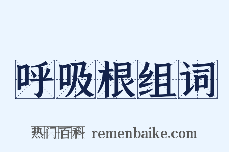 呼吸根组词是什么意思的图片